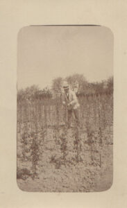 Planteskolens start. Asger M Jensen tilser kulturene på det lejede stykke "Trekanten" i 1913.