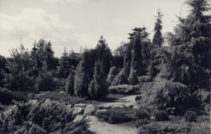Forevisningshaven, 1947