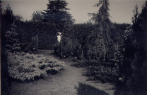Forevisningshaven, 1947